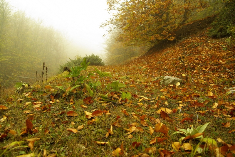 BoluGolcuk 2007  169